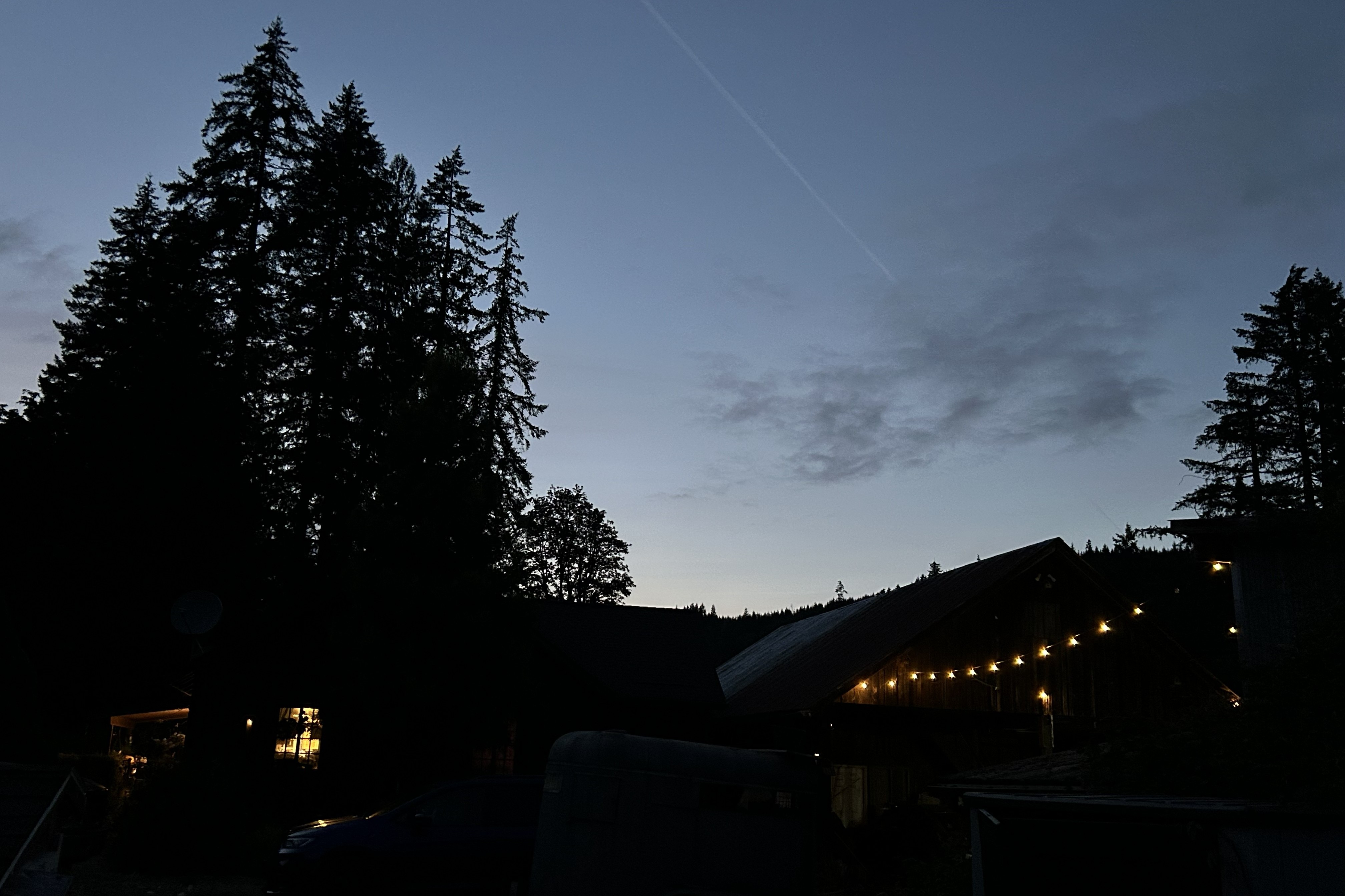 Eira Creek at night beneath the silhouettes of the massive trees of the surrounding Oregon forest